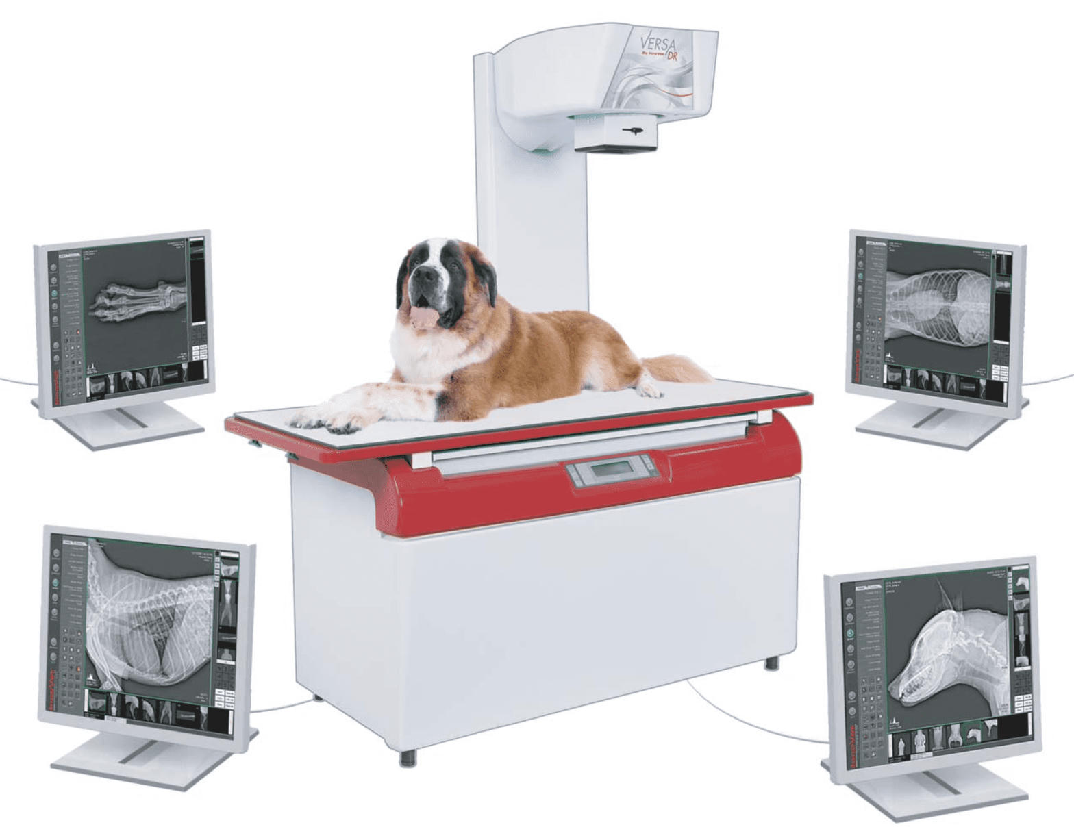 InnoVet Versa DR veterinary digital x-ray table