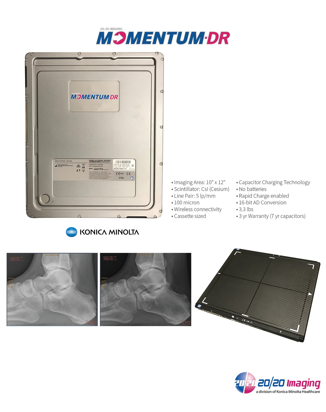 Momentum DR 10×12 wireless cesium detector